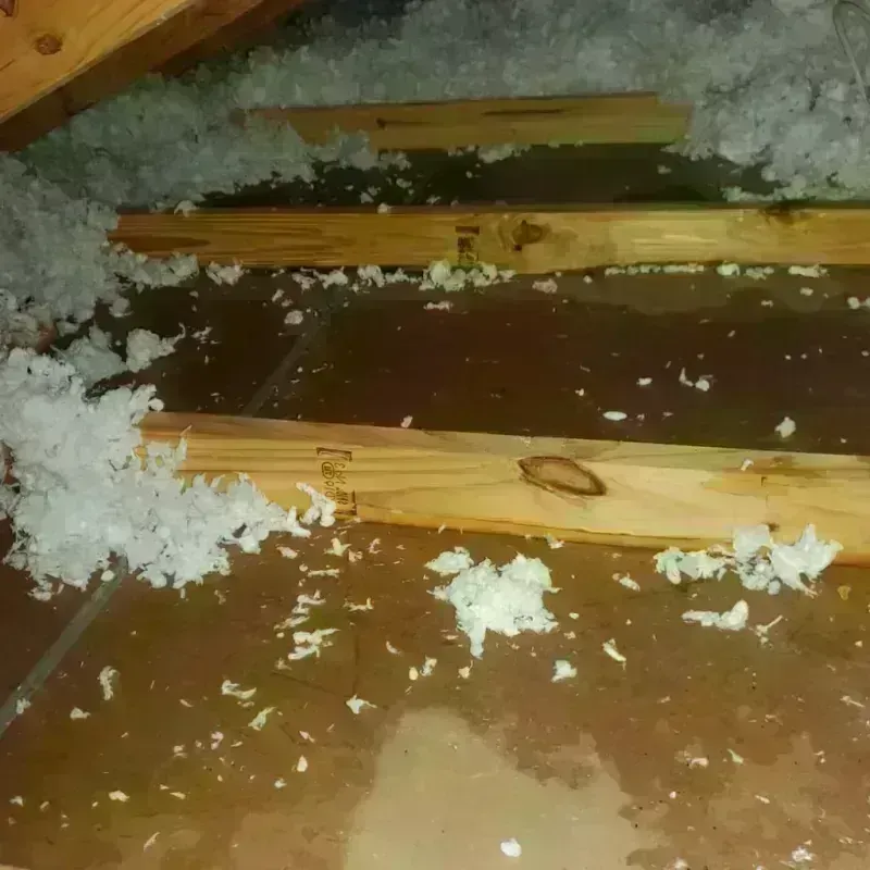 Attic Water Damage in Cypress Lake, FL