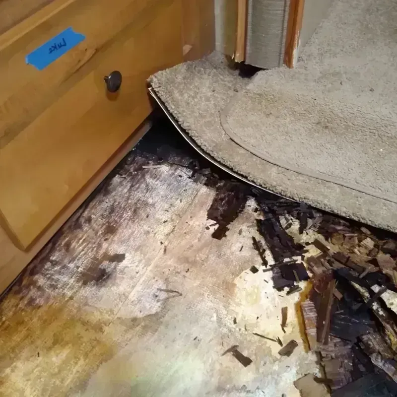 Wood Floor Water Damage in Cypress Lake, FL